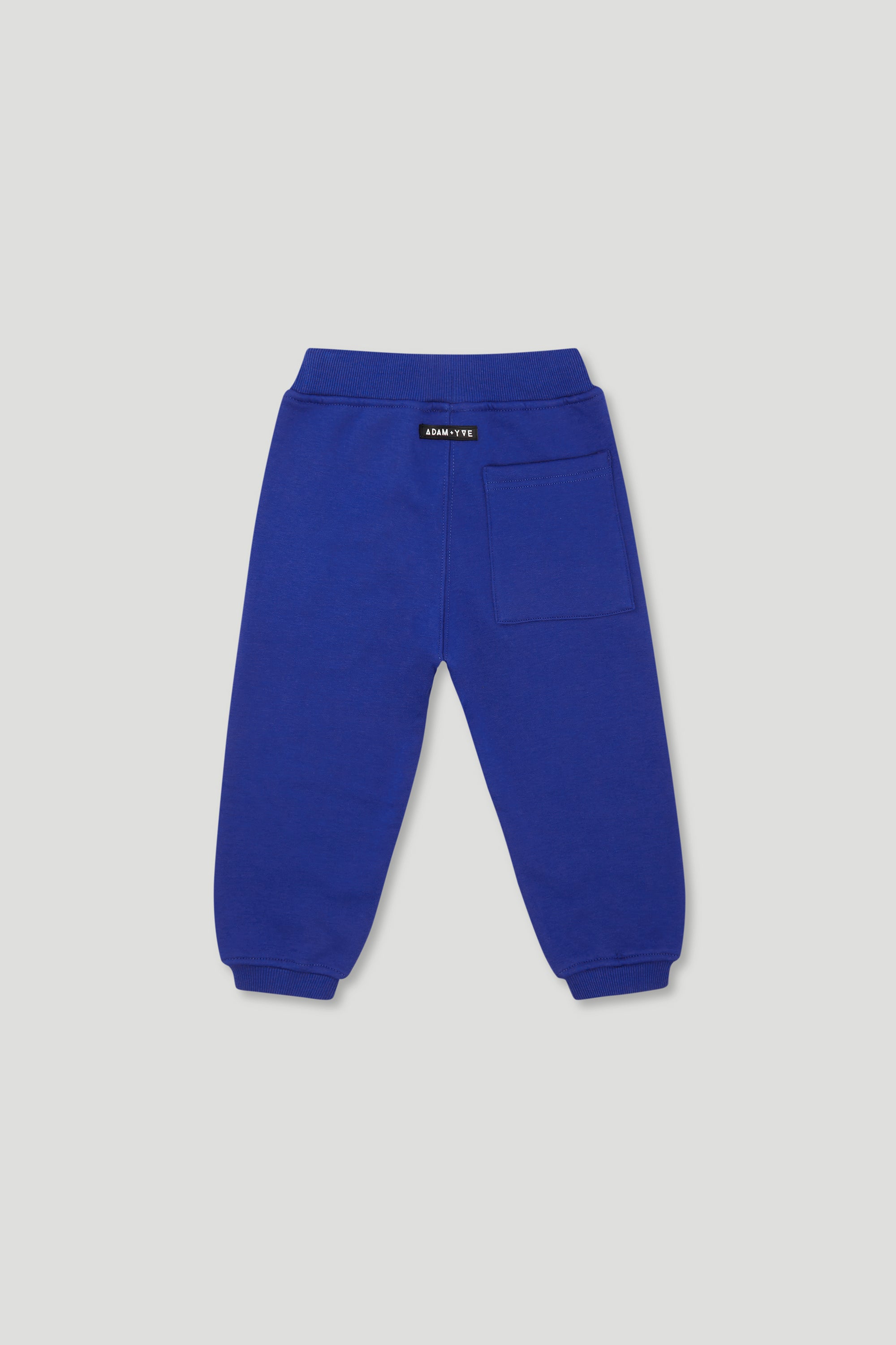 Adam + Yve Kids Clothing Royal Blue Track Pants